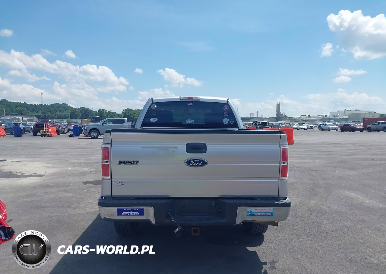 2010 Ford F-150 Stx-Xl-Xlt VIN:1FTEX1E89AFC36781 - 16