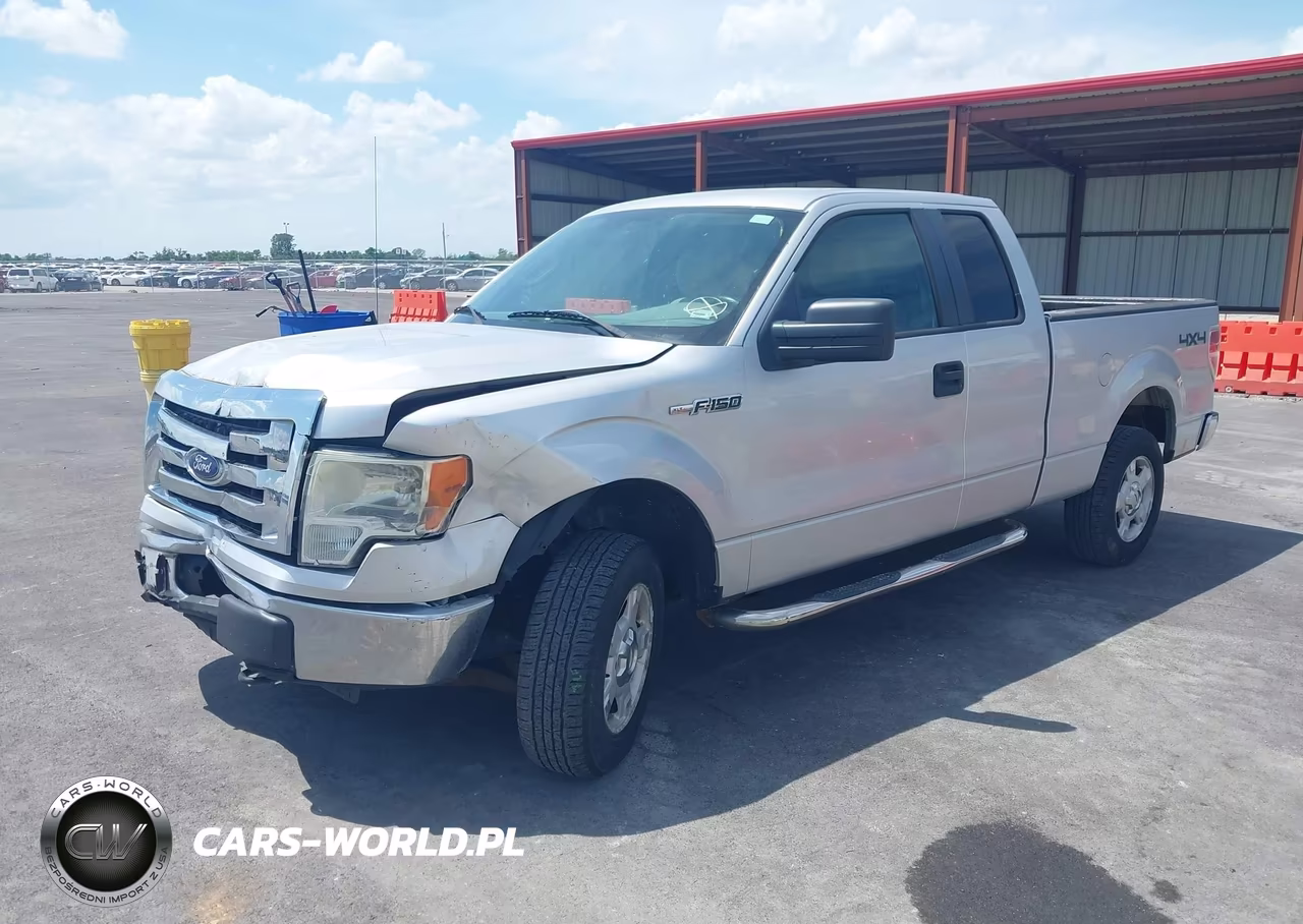 2010 Ford F-150 Stx-Xl-Xlt VIN:1FTEX1E89AFC36781 - 2