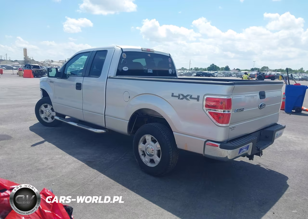 2010 Ford F-150 Stx-Xl-Xlt VIN:1FTEX1E89AFC36781 - 3