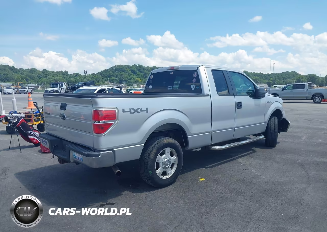 2010 Ford F-150 Stx-Xl-Xlt VIN:1FTEX1E89AFC36781 - 4