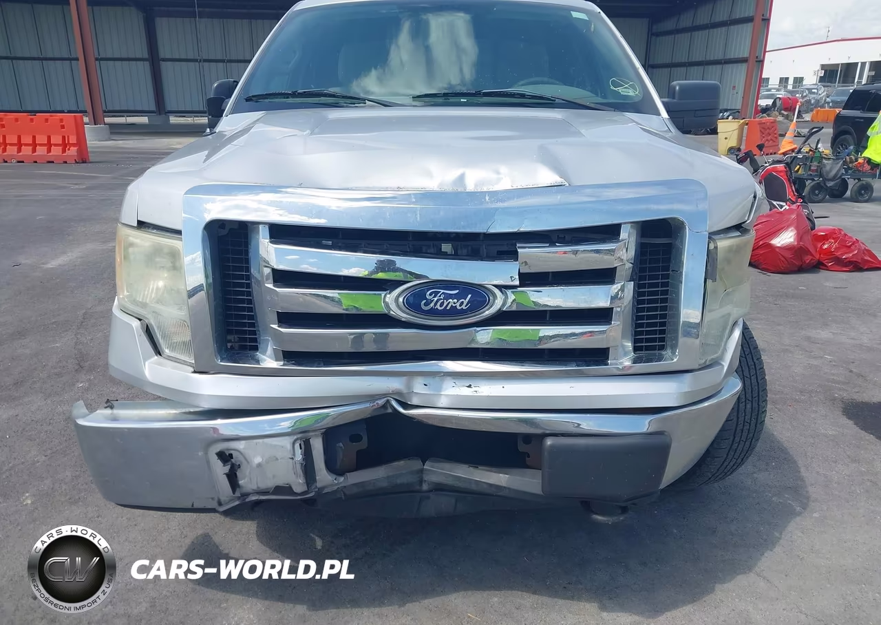 2010 Ford F-150 Stx-Xl-Xlt VIN:1FTEX1E89AFC36781 - 6