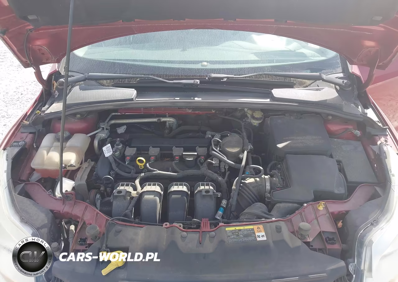 2014 Ford Focus Se VIN:1FADP3F25EL204215 - 10