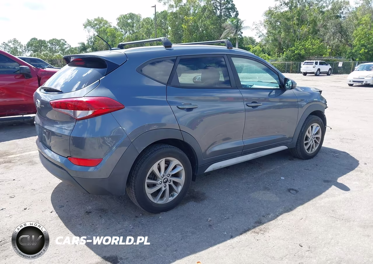 2017 Hyundai Tucson Se VIN:KM8J33A49HU447540 - 4