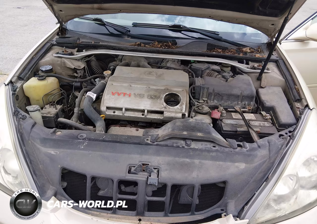2002 Lexus Es 300 VIN:JTHBF30G920072032 - 10