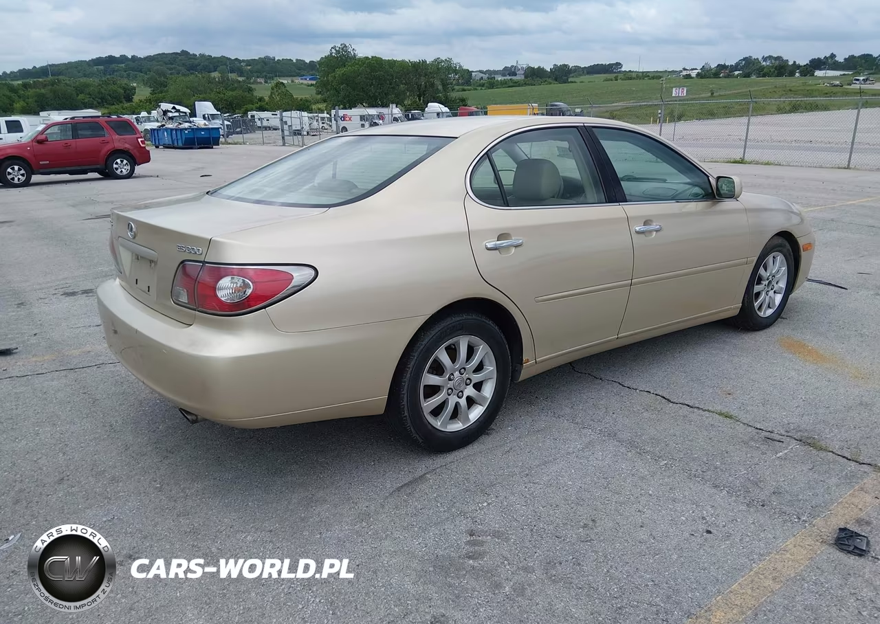 2002 Lexus Es 300 VIN:JTHBF30G920072032 - 4