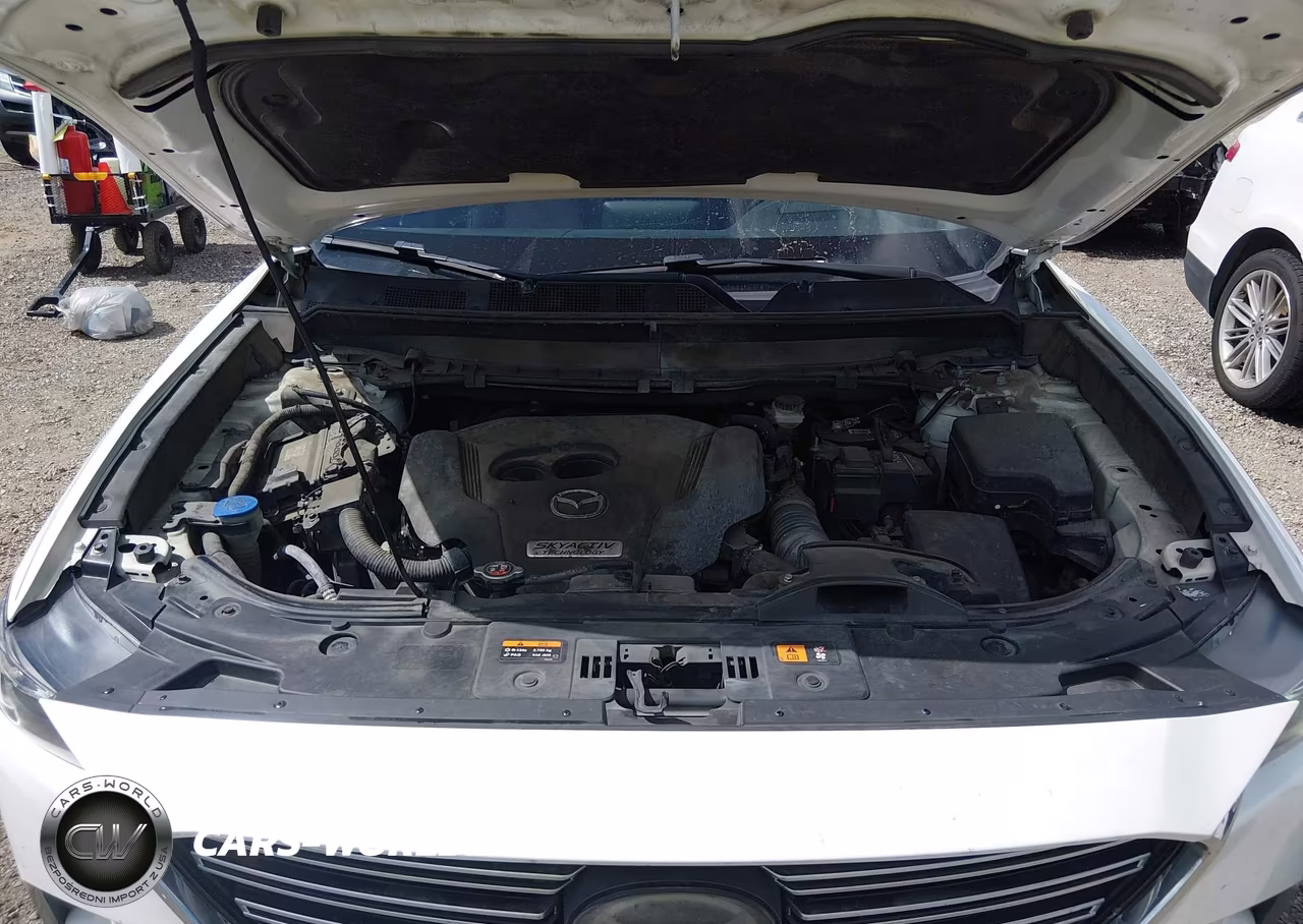 2017 Mazda Cx-9 Signature VIN:JM3TCBEY0H0132905 - 10