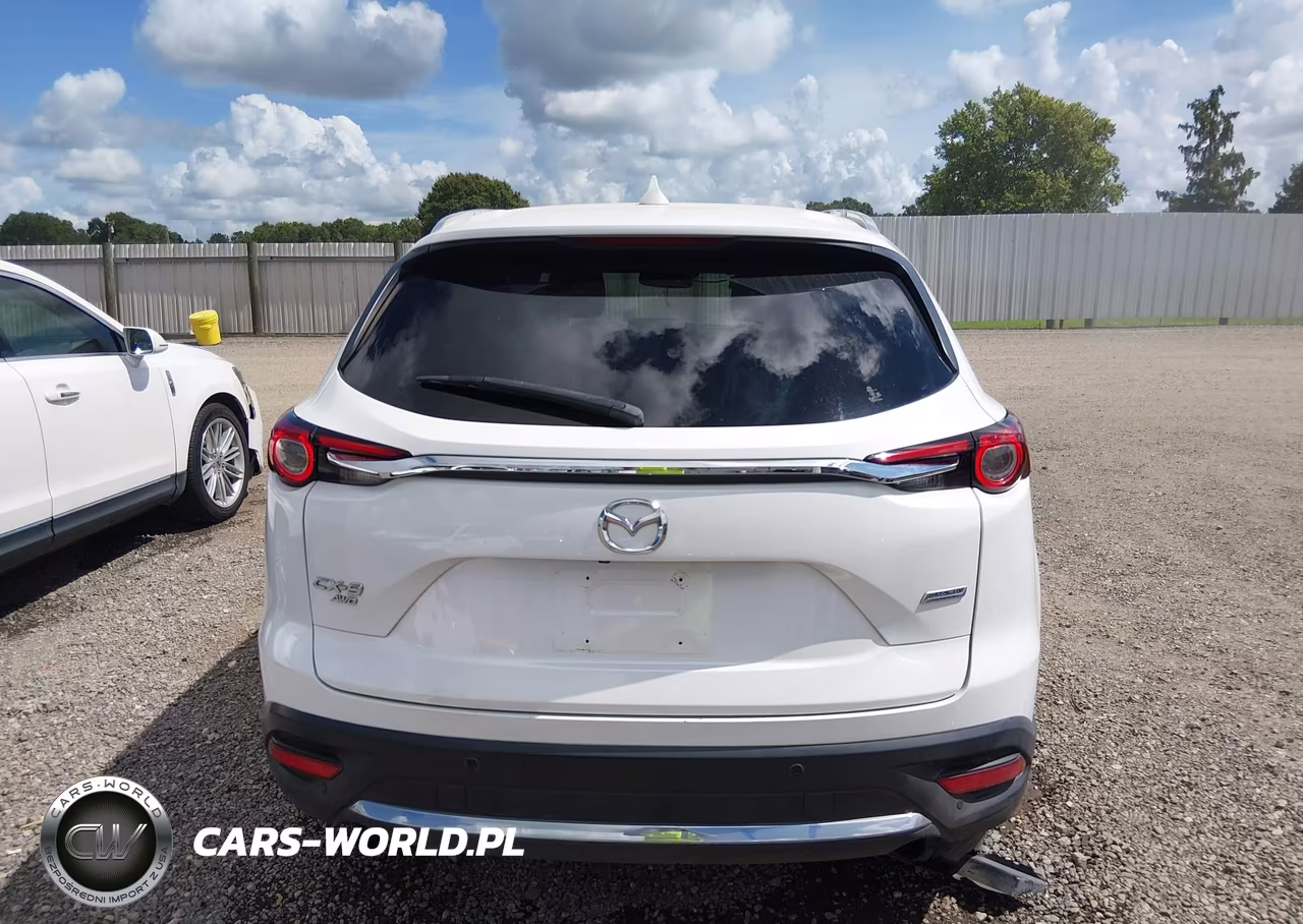 2017 Mazda Cx-9 Signature VIN:JM3TCBEY0H0132905 - 16