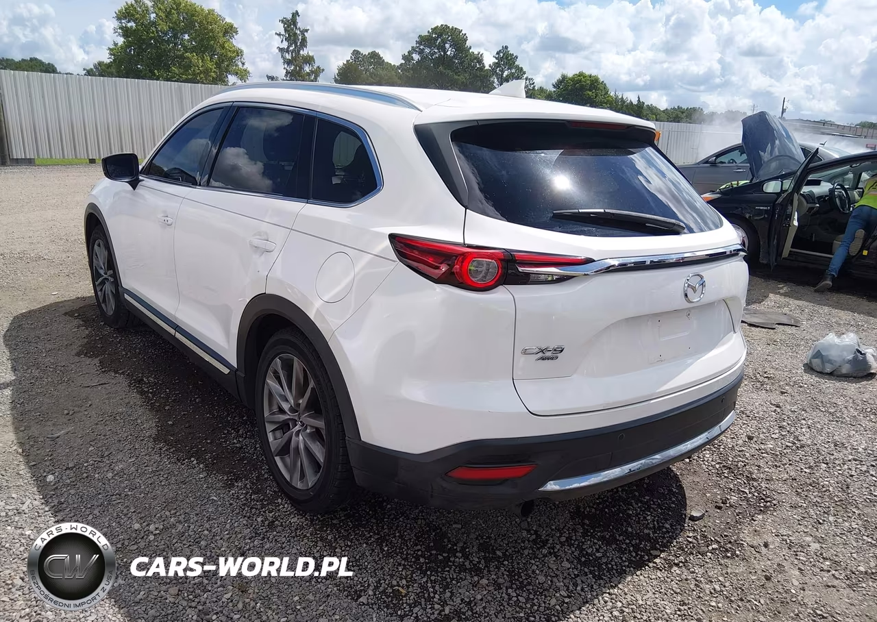 2017 Mazda Cx-9 Signature VIN:JM3TCBEY0H0132905 - 3