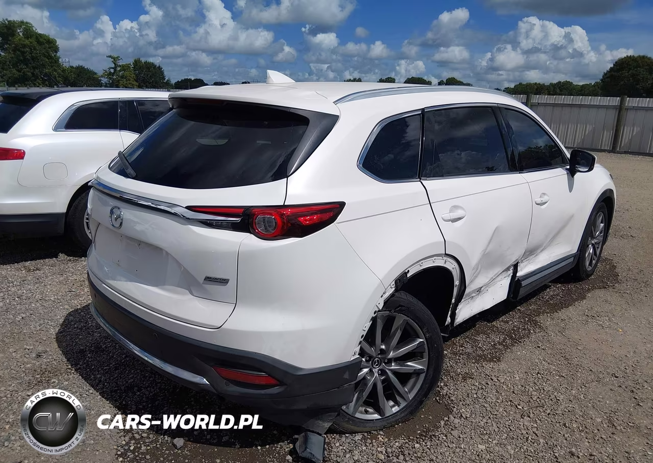 2017 Mazda Cx-9 Signature VIN:JM3TCBEY0H0132905 - 4