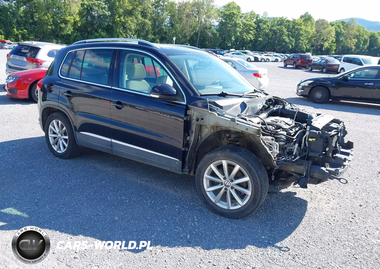 2013 Volkswagen Tiguan Se