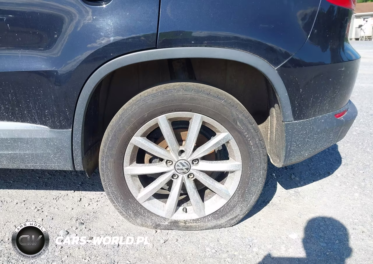 2013 Volkswagen Tiguan Se VIN:WVGBV7AXXDW519876 - 12