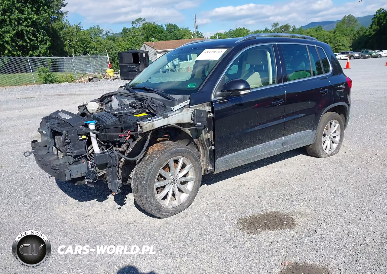2013 Volkswagen Tiguan Se VIN:WVGBV7AXXDW519876 - 2