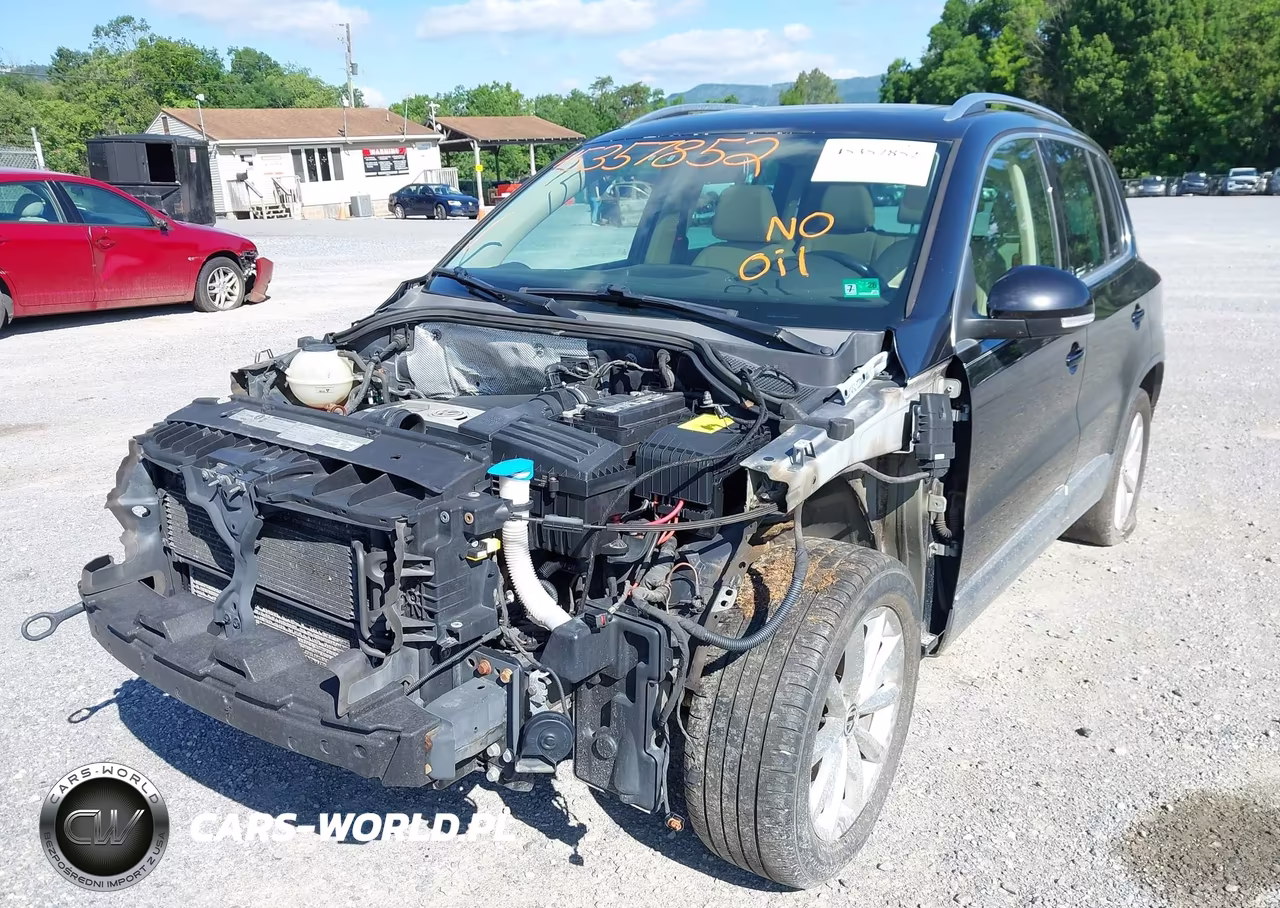 2013 Volkswagen Tiguan Se VIN:WVGBV7AXXDW519876 - 6