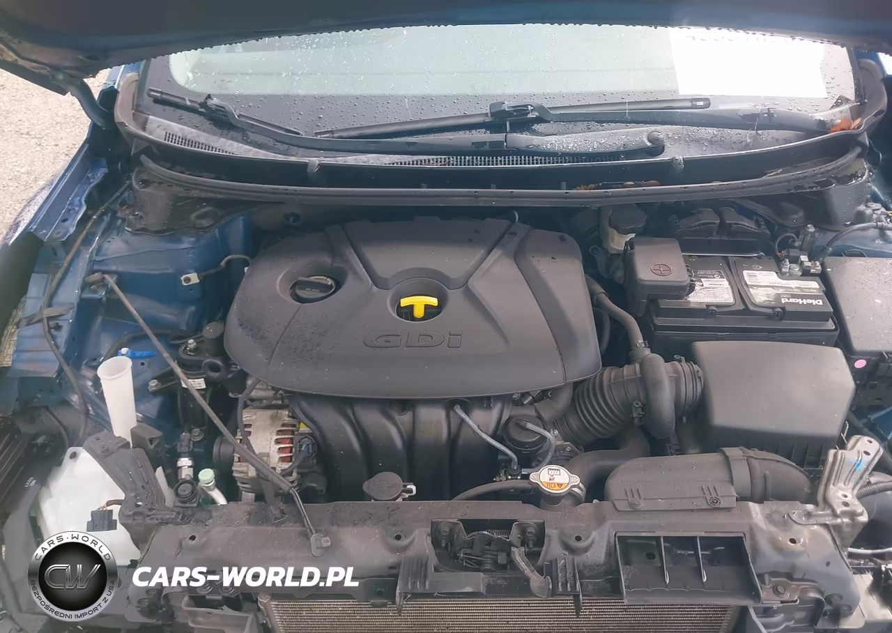 2016 Hyundai Elantra Gt VIN:KMHD35LH0GU298961 - 10