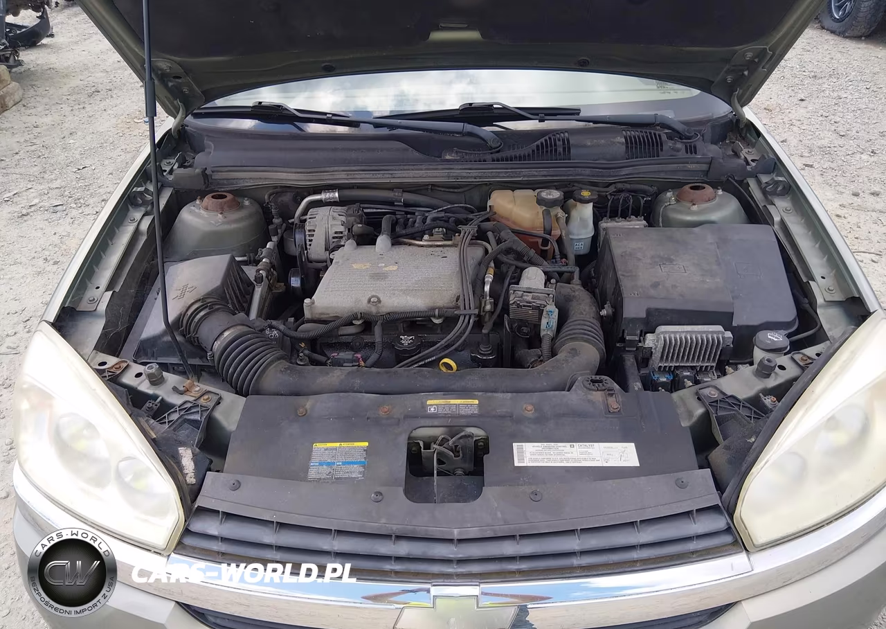 2004 Chevrolet Malibu Ls VIN:1G1ZT54814F110675 - 10