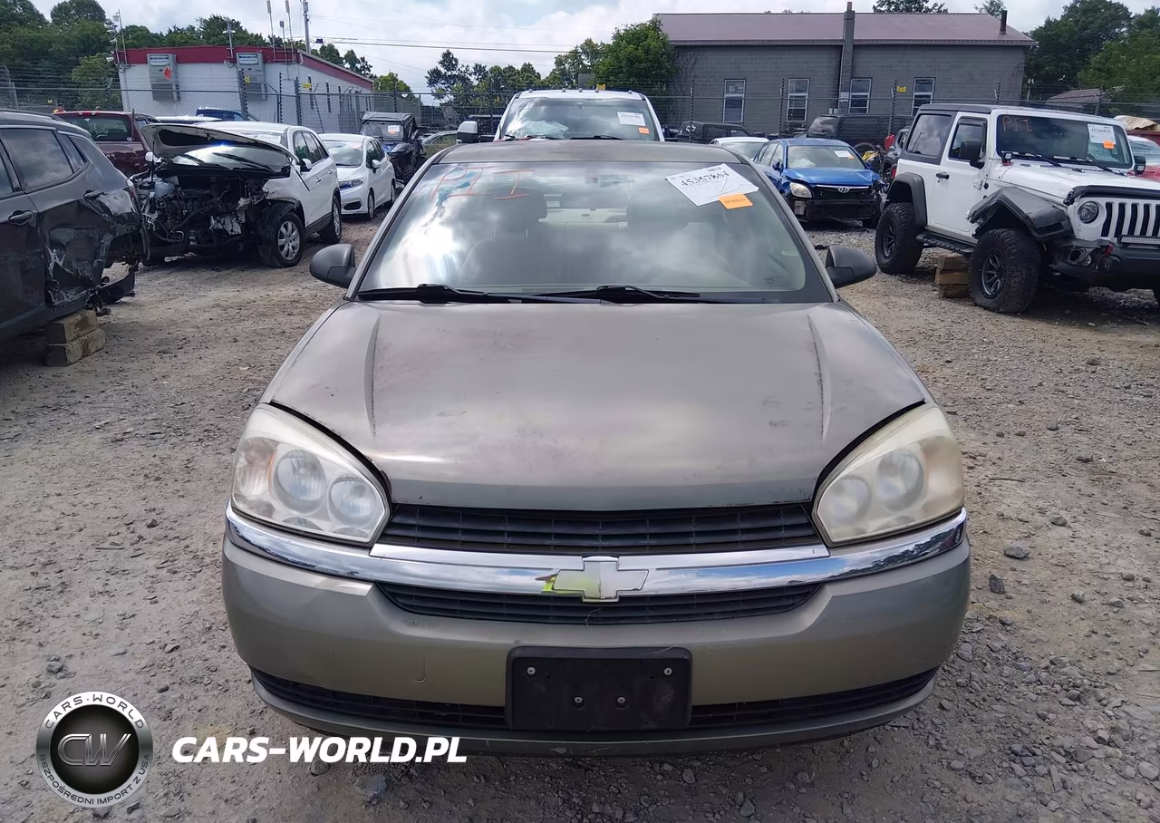 2004 Chevrolet Malibu Ls VIN:1G1ZT54814F110675 - 12