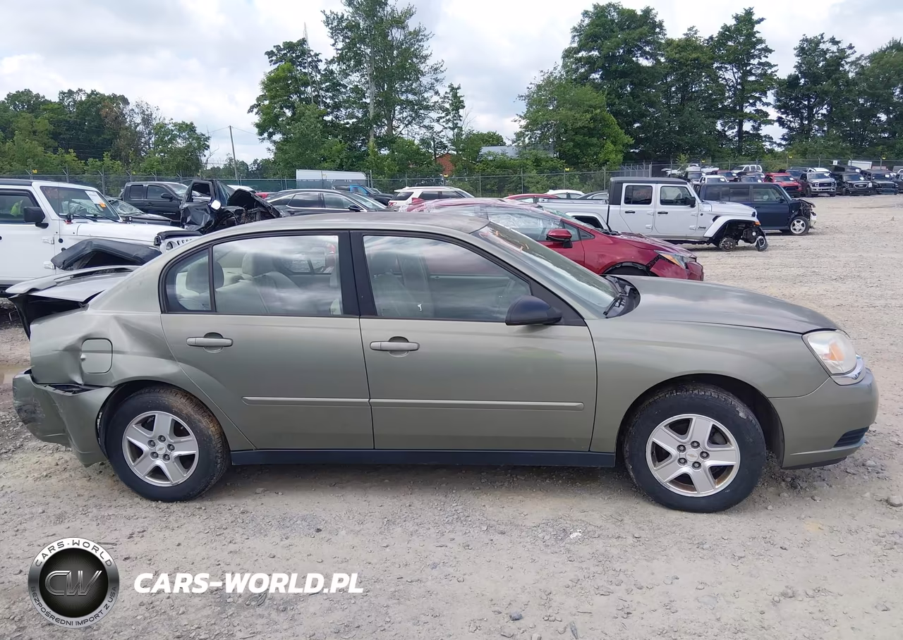 2004 Chevrolet Malibu Ls VIN:1G1ZT54814F110675 - 13