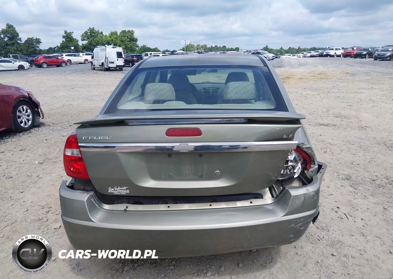2004 Chevrolet Malibu Ls VIN:1G1ZT54814F110675 - 16