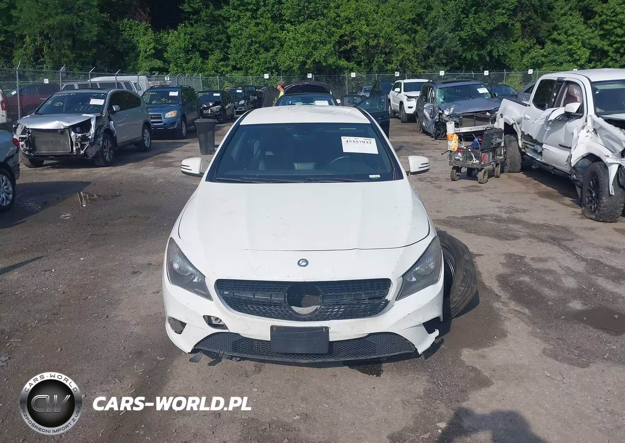 2014 Mercedes-Benz Cla 250 VIN:WDDSJ4EBXEN048418 - 12
