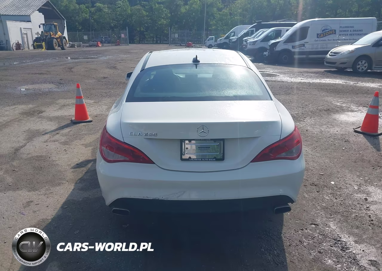 2014 Mercedes-Benz Cla 250 VIN:WDDSJ4EBXEN048418 - 16