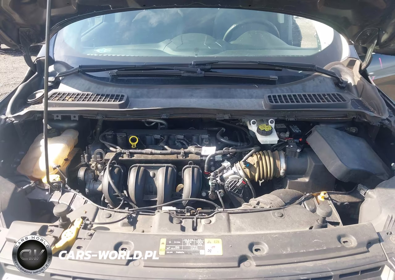 2016 Ford Escape Se VIN:1FMCU0G70GUA80032 - 10
