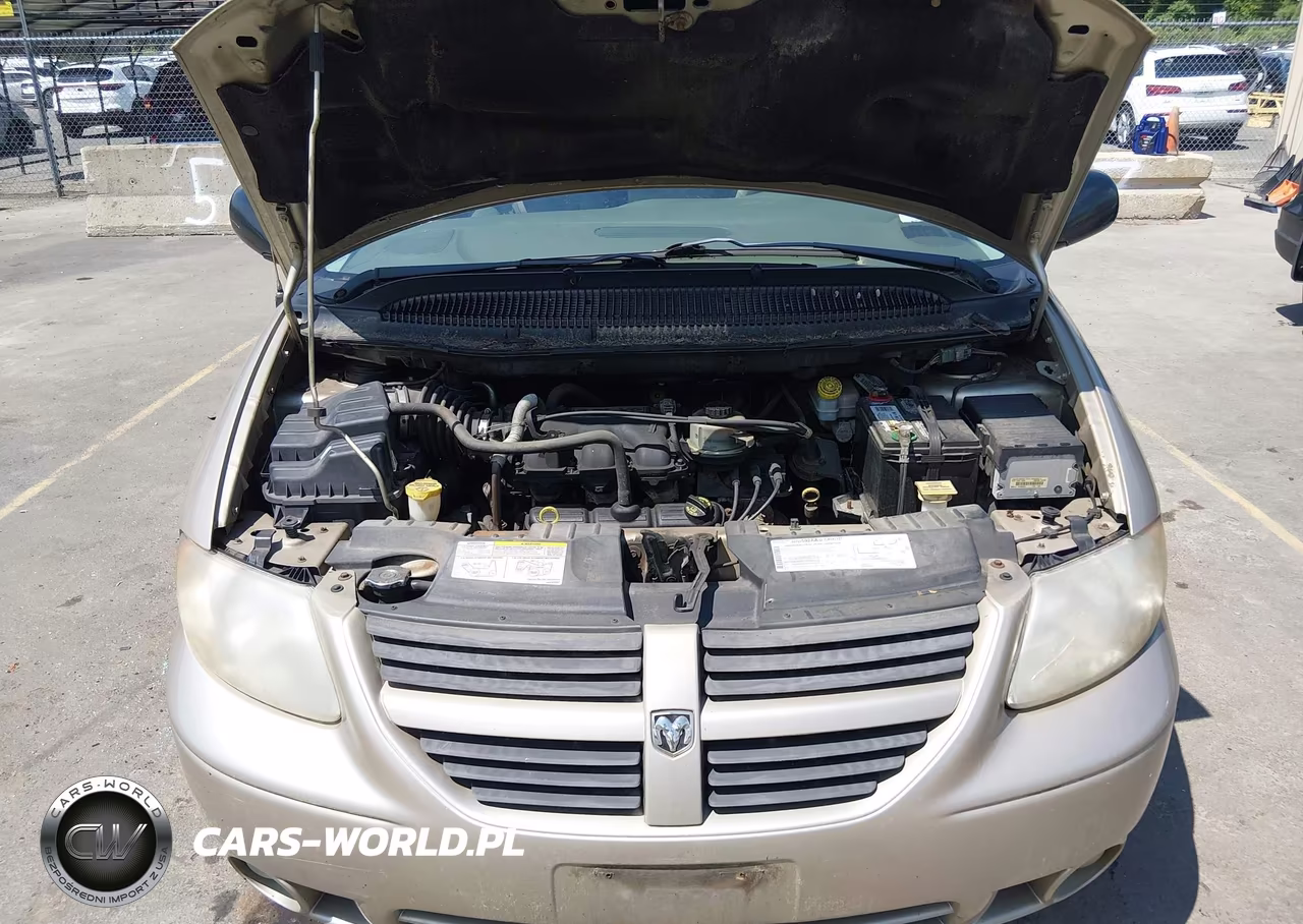 2006 Dodge Grand Caravan Sxt VIN:2D8GP44L66R742795 - 10
