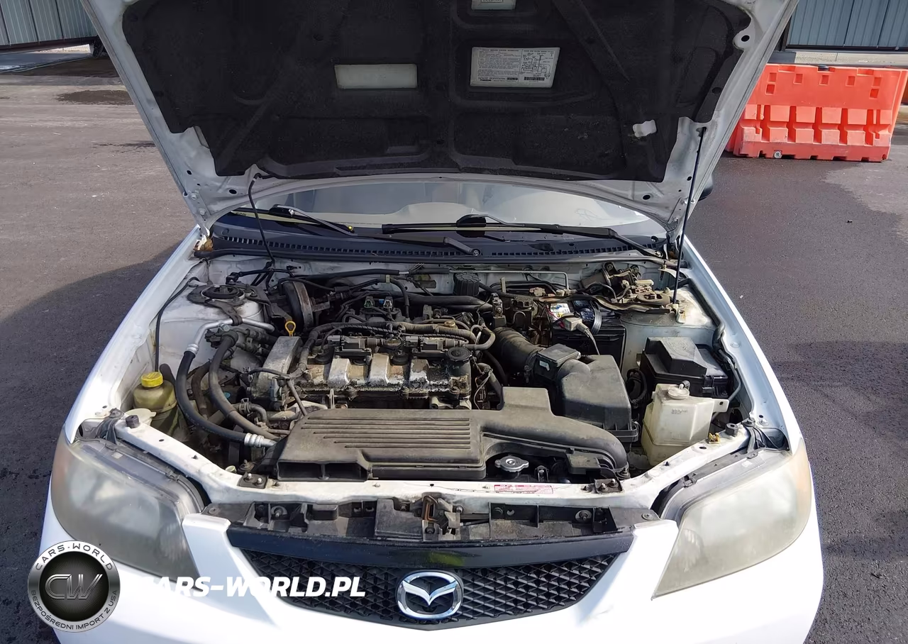 2003 Mazda Protege Dx-Es-Lx VIN:JM1BJ225130149564 - 10