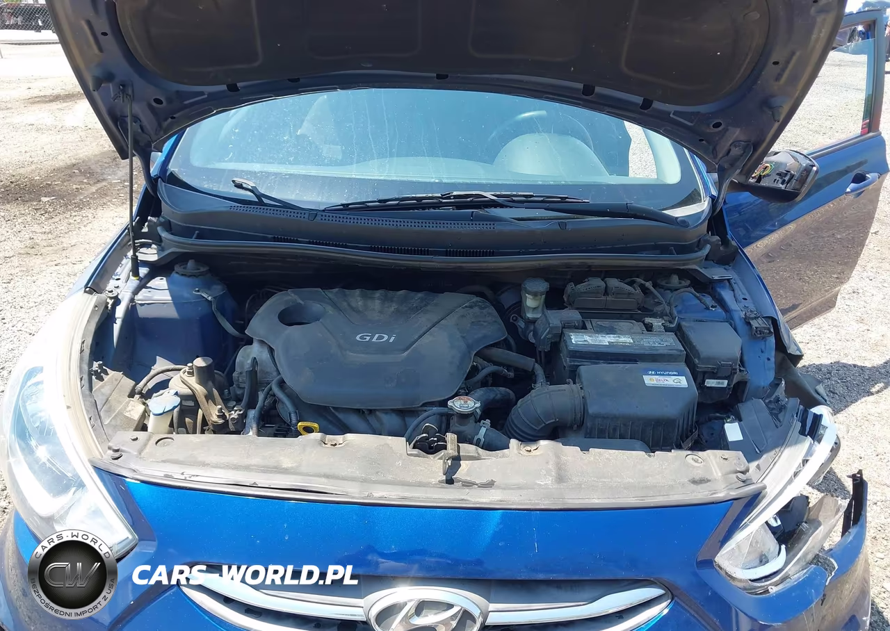 2015 Hyundai Accent Gs VIN:KMHCT5AE4FU232156 - 10