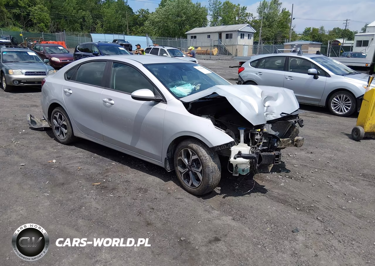 2019 Kia Forte Lxs