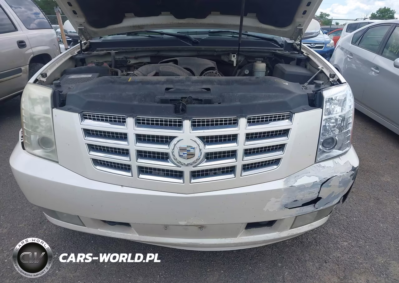 2008 Cadillac Escalade Esv Standard VIN:1GYFK66898R149660 - 12