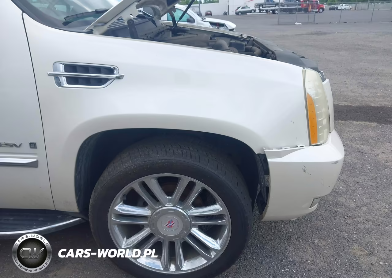 2008 Cadillac Escalade Esv Standard VIN:1GYFK66898R149660 - 13
