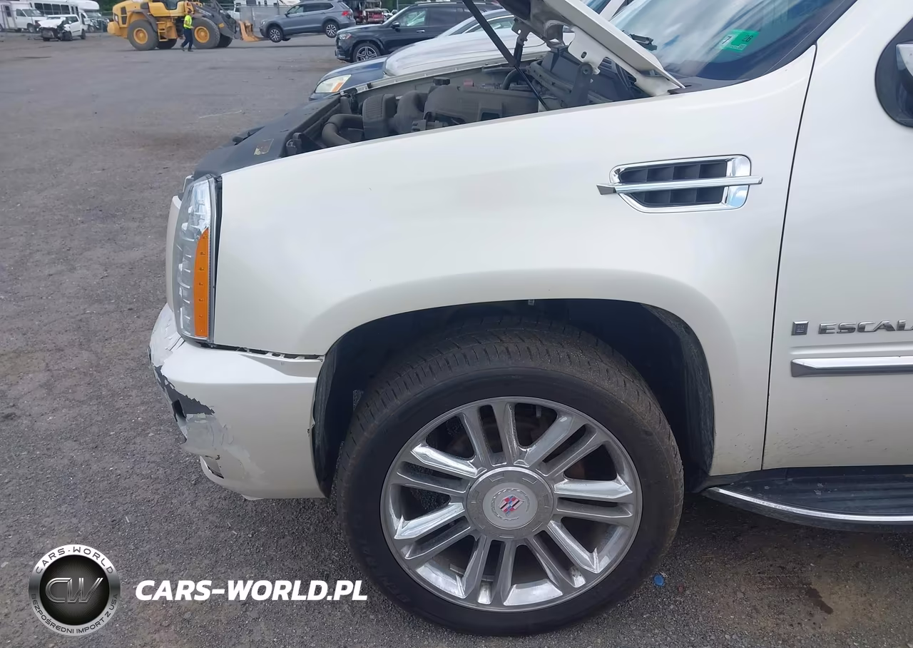 2008 Cadillac Escalade Esv Standard VIN:1GYFK66898R149660 - 6