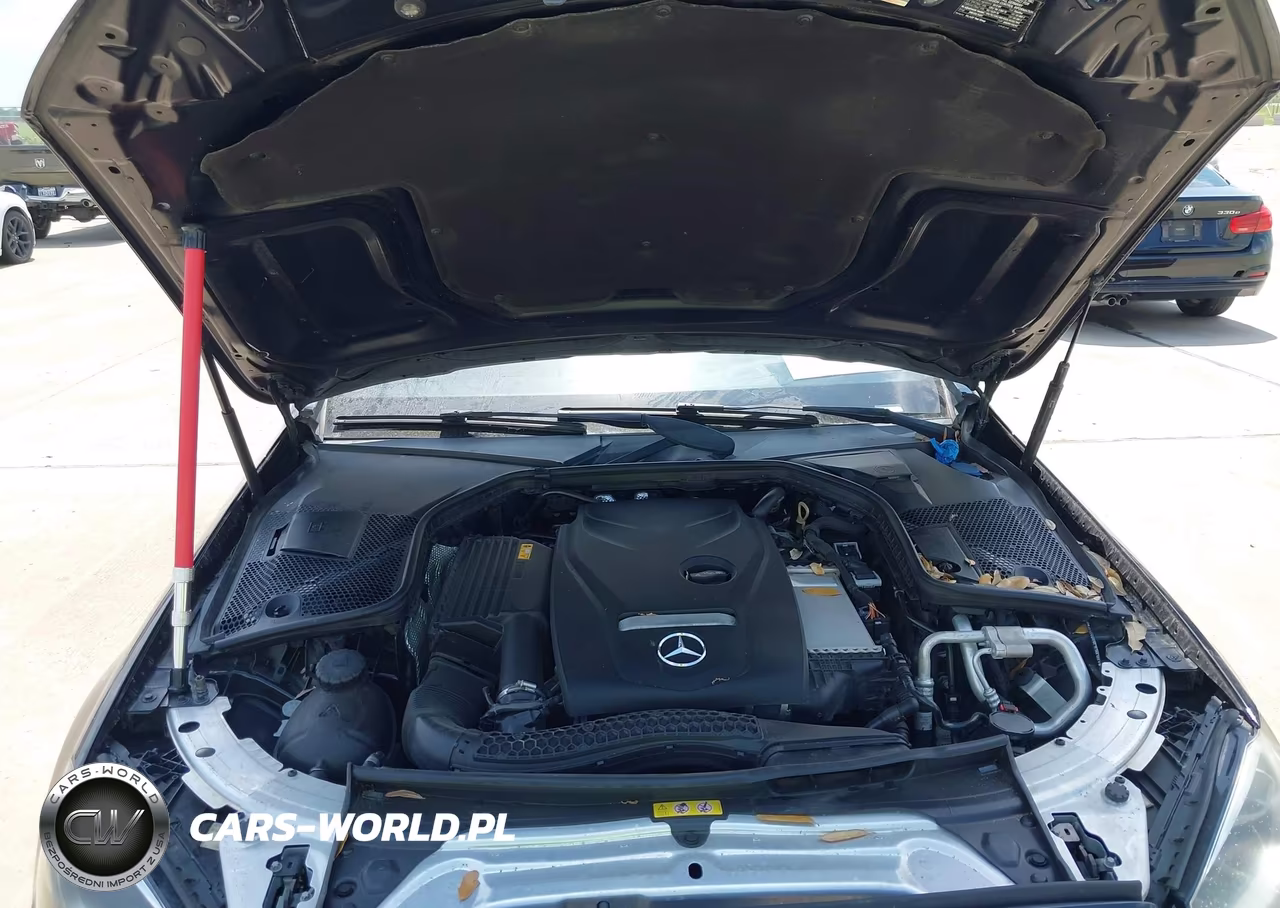 2018 Mercedes-Benz C 300 VIN:55SWF4JB5JU248195 - 10