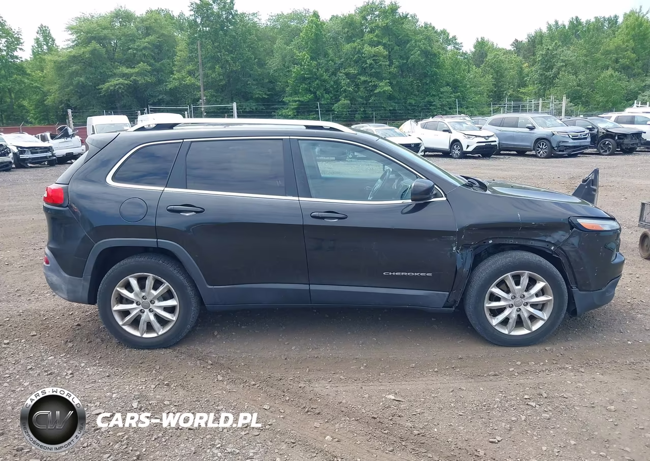 2014 Jeep Cherokee Limited VIN:1C4PJMDS5EW257884 - 13