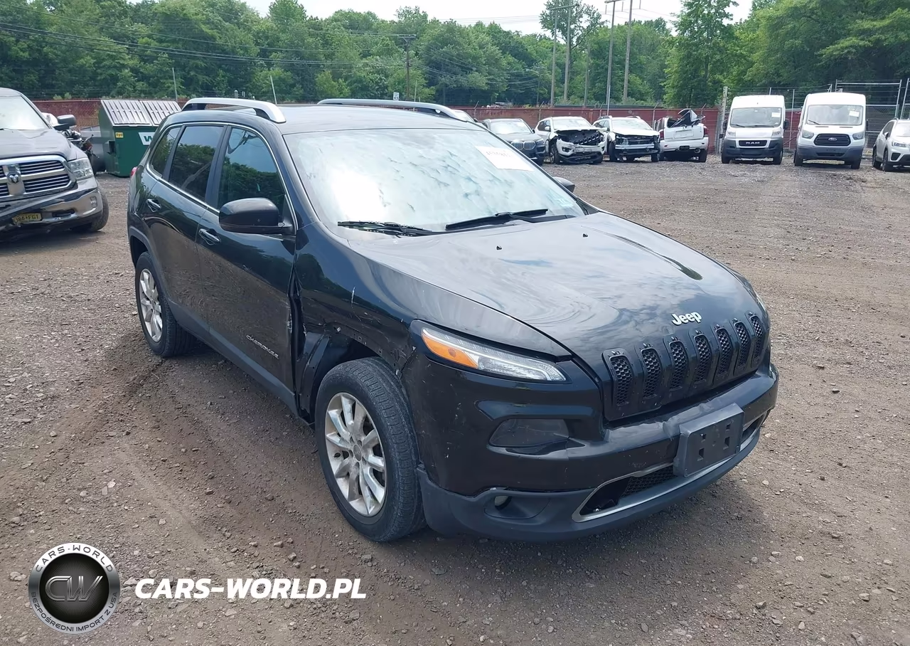 2014 Jeep Cherokee Limited VIN:1C4PJMDS5EW257884 - 17