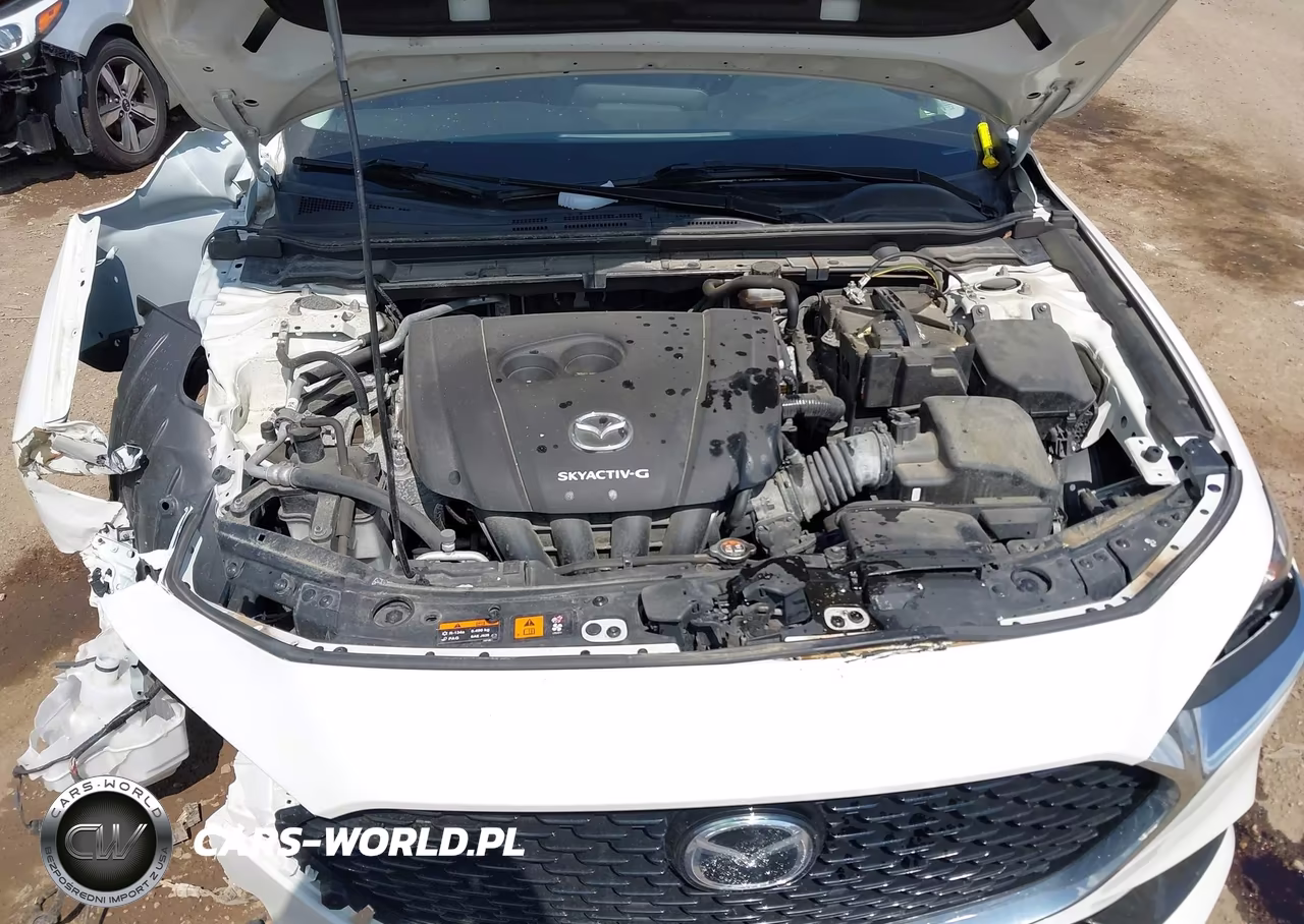 2019 Mazda Mazda3 Preferred Package VIN:JM1BPADL0K1122823 - 10