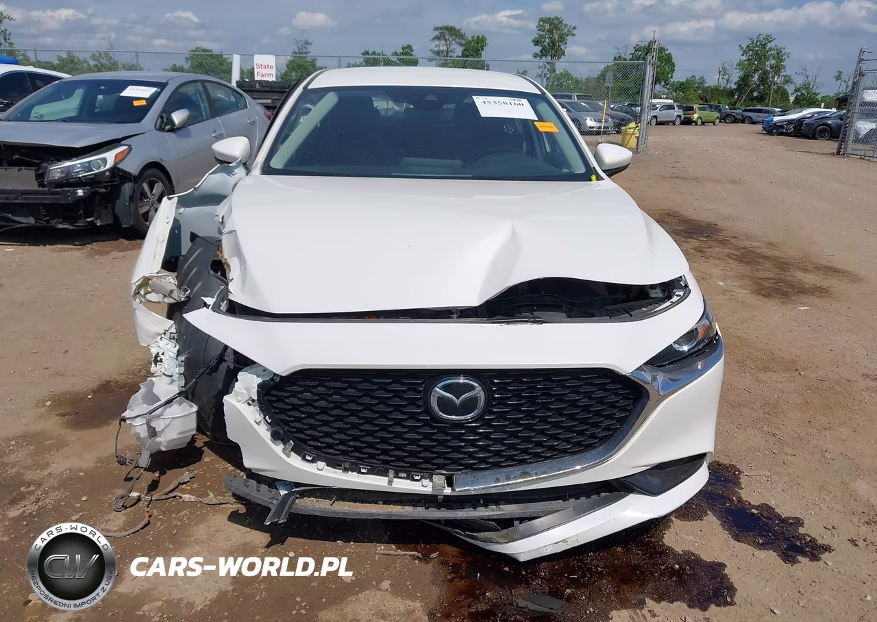 2019 Mazda Mazda3 Preferred Package VIN:JM1BPADL0K1122823 - 13