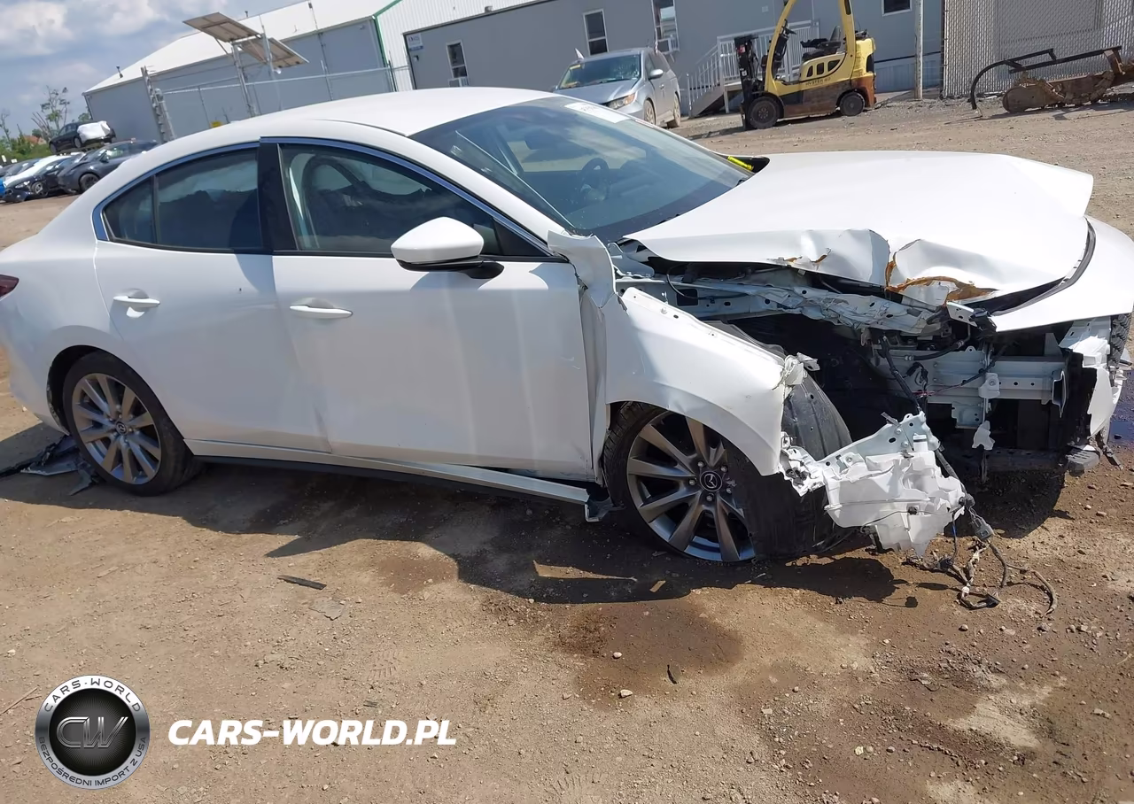2019 Mazda Mazda3 Preferred Package VIN:JM1BPADL0K1122823 - 14