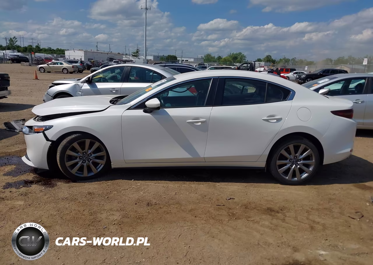 2019 Mazda Mazda3 Preferred Package VIN:JM1BPADL0K1122823 - 15