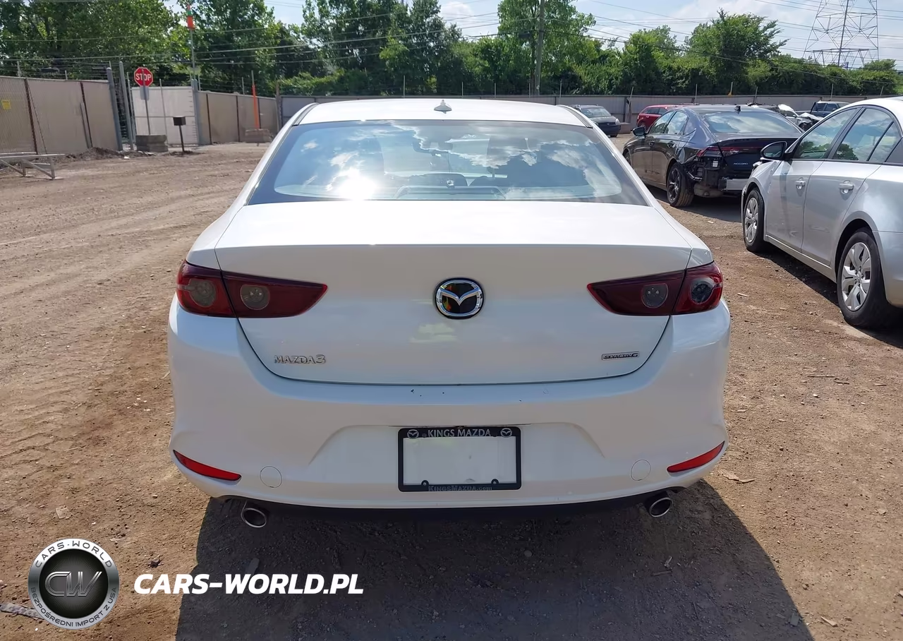 2019 Mazda Mazda3 Preferred Package VIN:JM1BPADL0K1122823 - 17