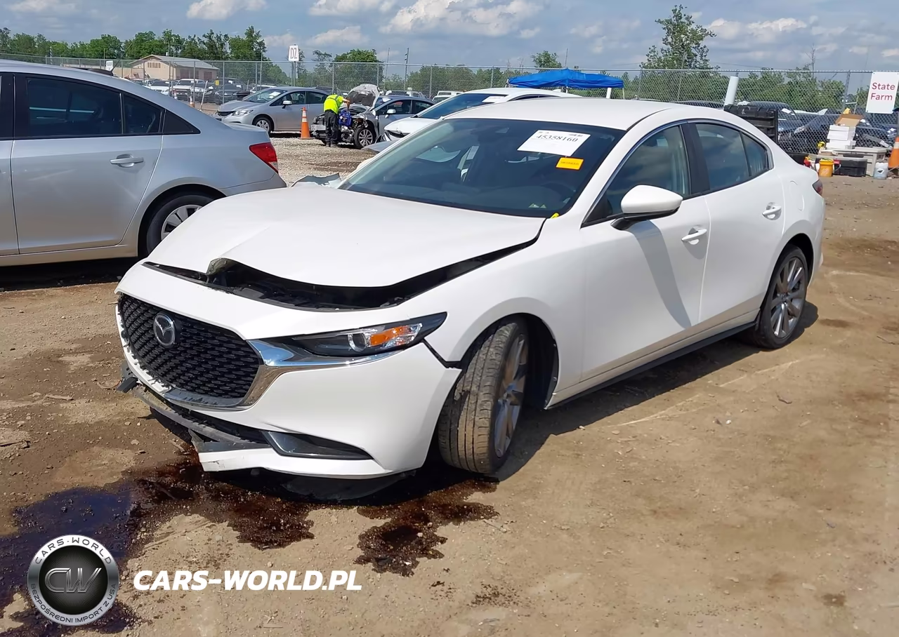 2019 Mazda Mazda3 Preferred Package VIN:JM1BPADL0K1122823 - 2