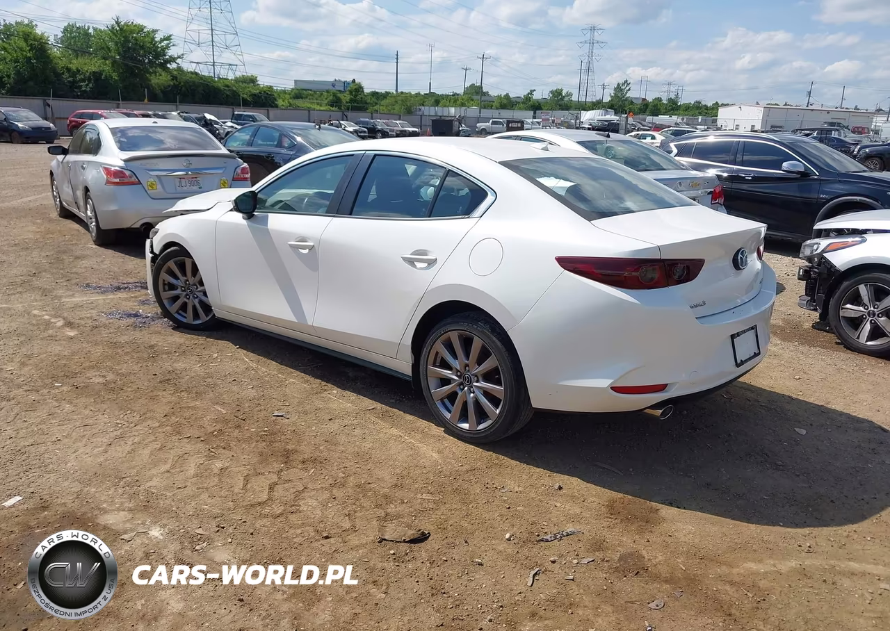 2019 Mazda Mazda3 Preferred Package VIN:JM1BPADL0K1122823 - 3
