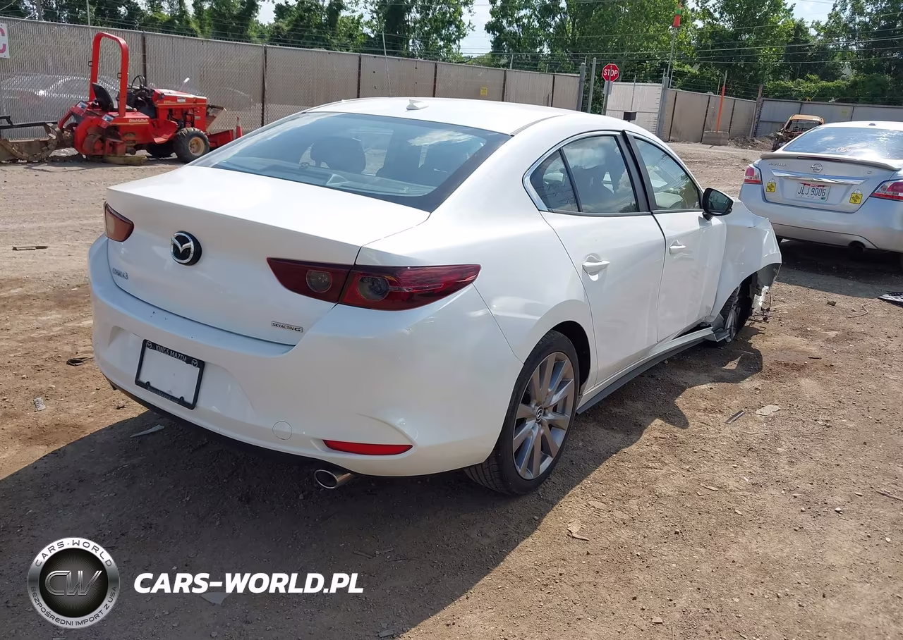 2019 Mazda Mazda3 Preferred Package VIN:JM1BPADL0K1122823 - 4