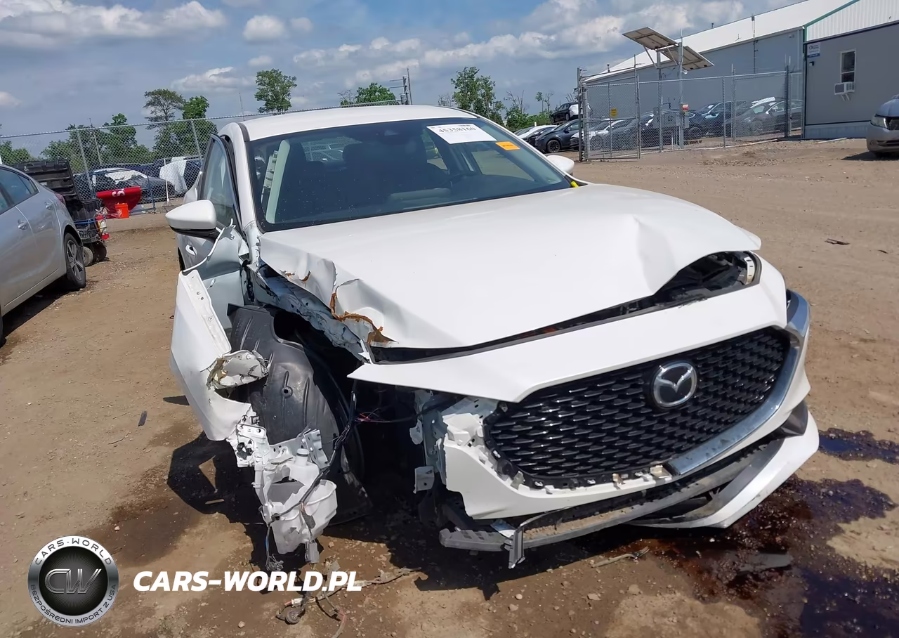 2019 Mazda Mazda3 Preferred Package VIN:JM1BPADL0K1122823 - 6