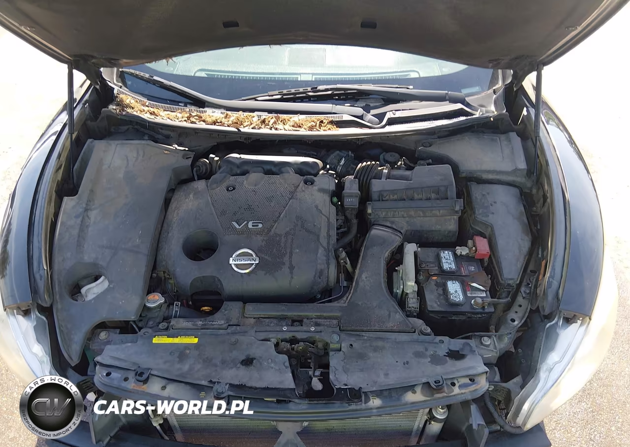2013 Nissan Maxima 3.5 Sv VIN:1N4AA5AP5DC803231 - 10