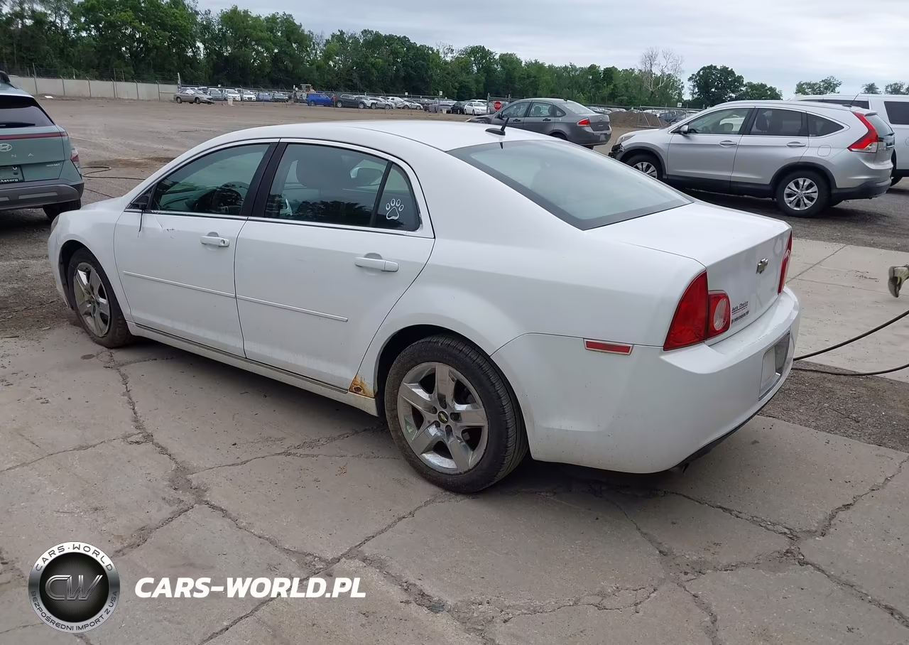 2010 Chevrolet Malibu Lt VIN:1G1ZC5EB3A4141301 - 3
