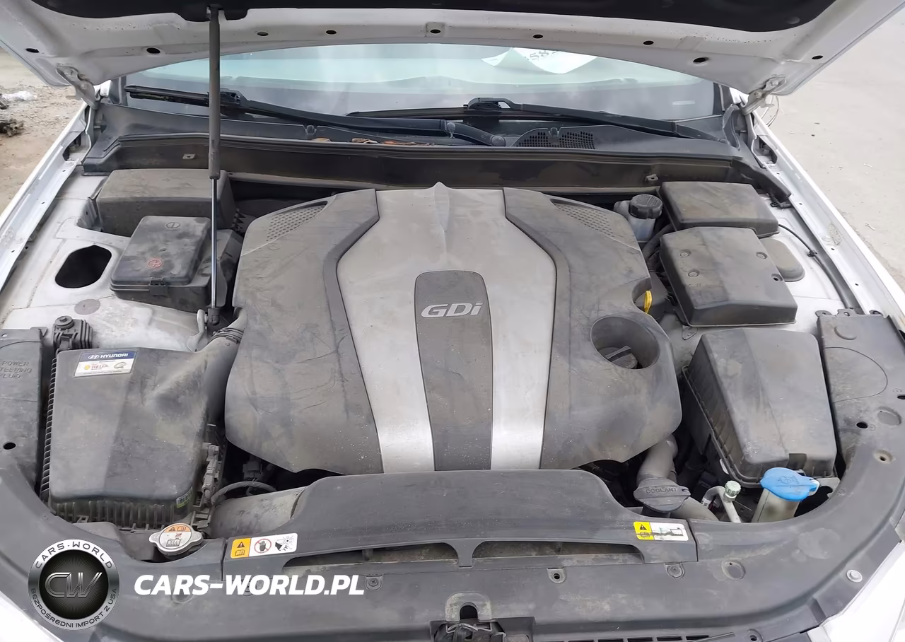 HYUNDAI GENESIS VIN:KMHGC4DD7EU259381 - 10