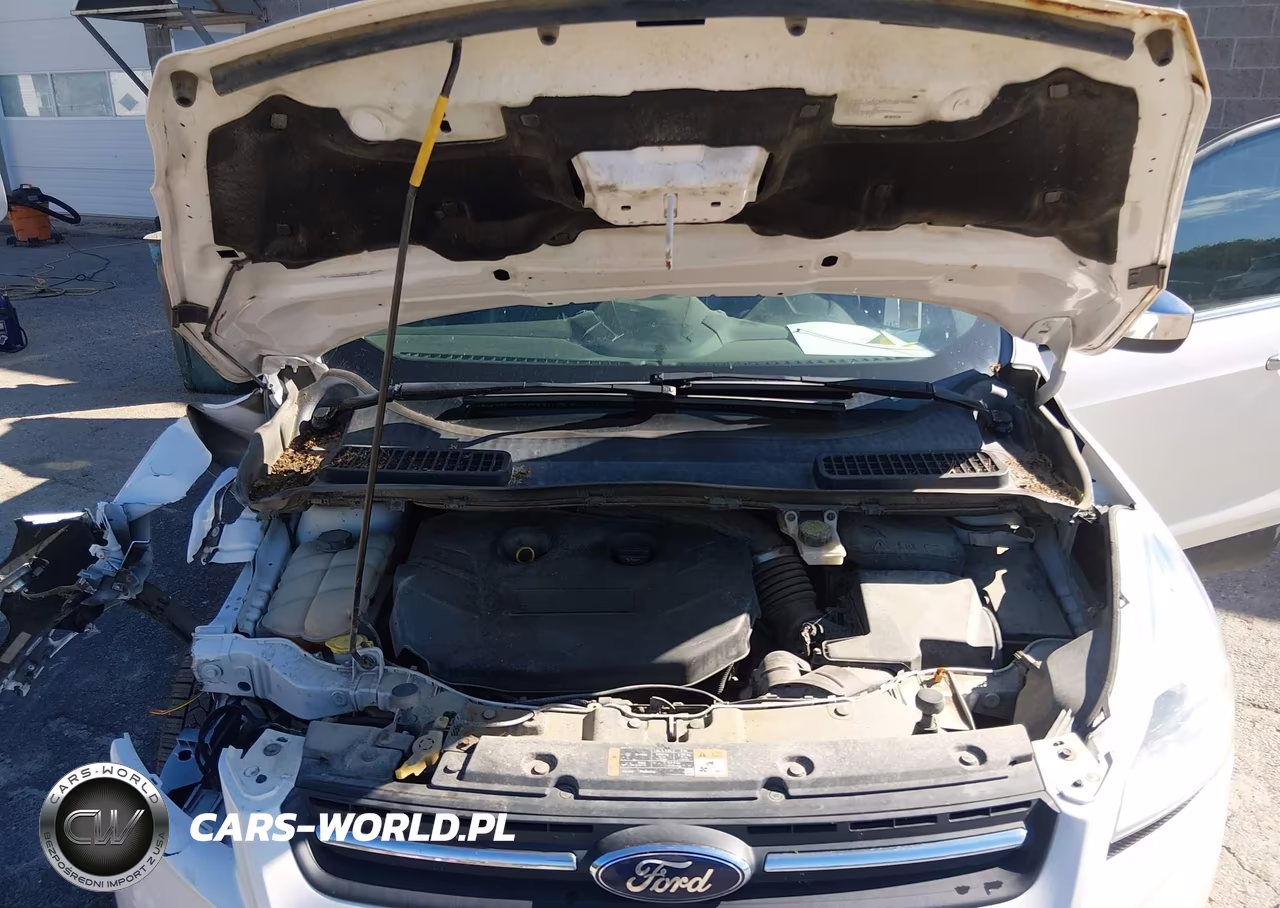 2016 Ford Escape Se VIN:1FMCU9G92GUA88381 - 10