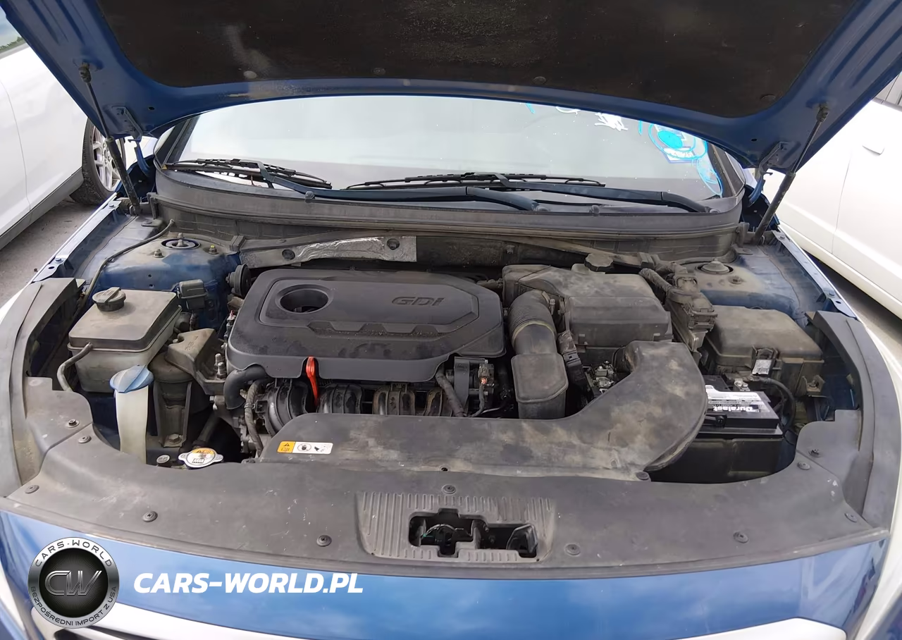 2015 Hyundai Sonata Se VIN:5NPE24AF6FH217610 - 10
