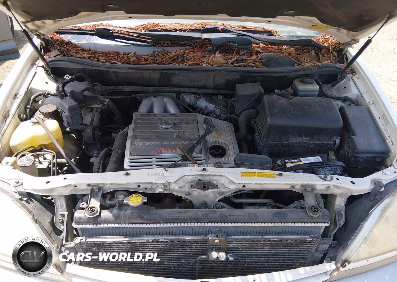 2003 Lexus Rx 300 VIN:JTJGF10U630156664 - 10